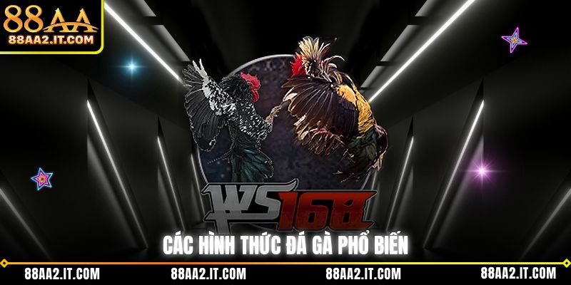 Các hình thức đá gà phổ biến