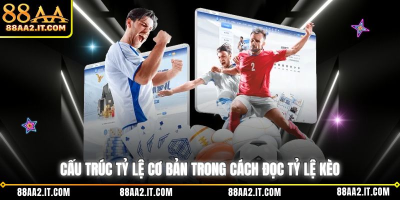 Cấu trúc tỷ lệ cơ bản trong cách đọc tỷ lệ kèo